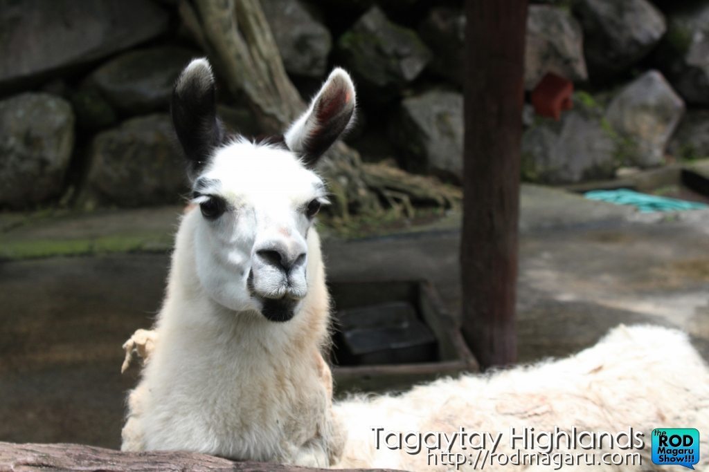 TagaytayHighlandsIMG_0107