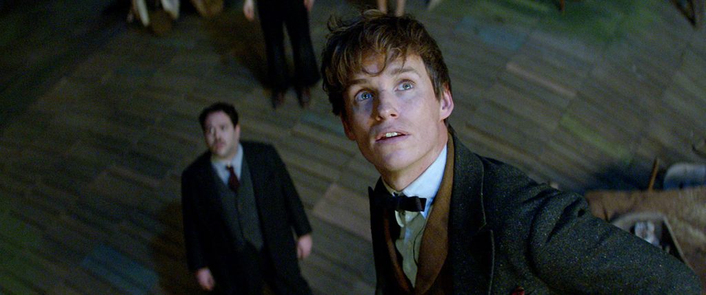 FANTASTIC BEASTS AND WHERE TO FIND THEM