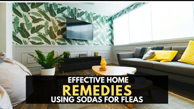Picture Idea: How To Use Baking Soda For Fleas Effective Home Remedies