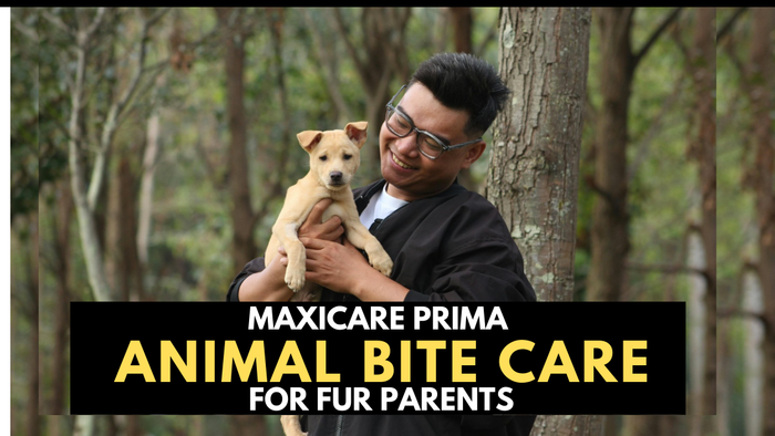 Fur Parents: Protect your peace of mind with Maxicare PRIMA Animal Bite Care